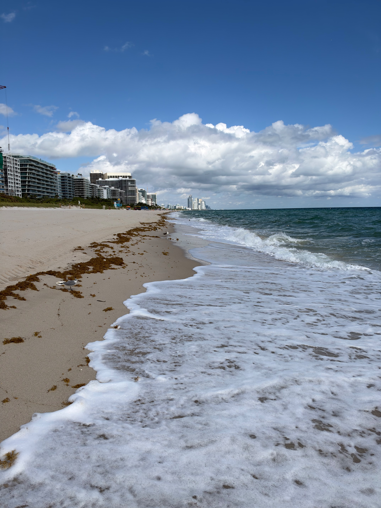 Miami Beach area shoreline from Surfside, looking north — October 14, 2026 · 11:00 AM