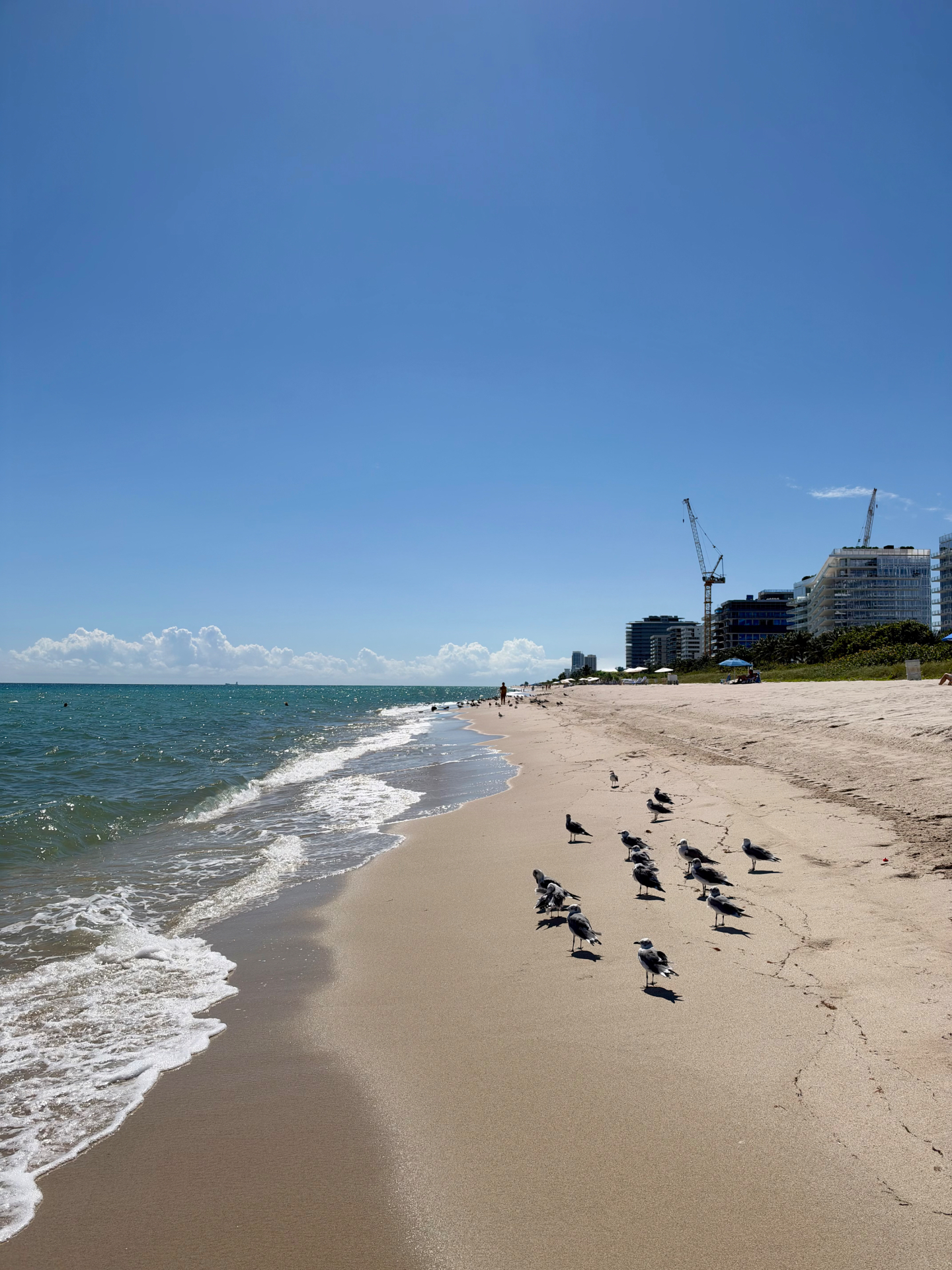 Miami Beach area shoreline from Surfside, looking south — October 12, 2026 · 11:00 AM